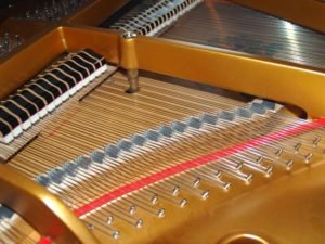 Piano Strings of a Grand Piano