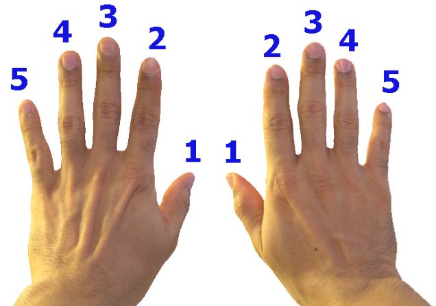 How to Number Your Fingers for Piano Lessons